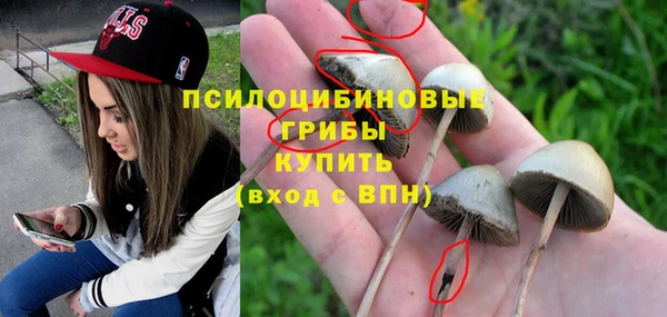 a pvp Козельск