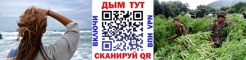 Марихуана сатива Ветлуга